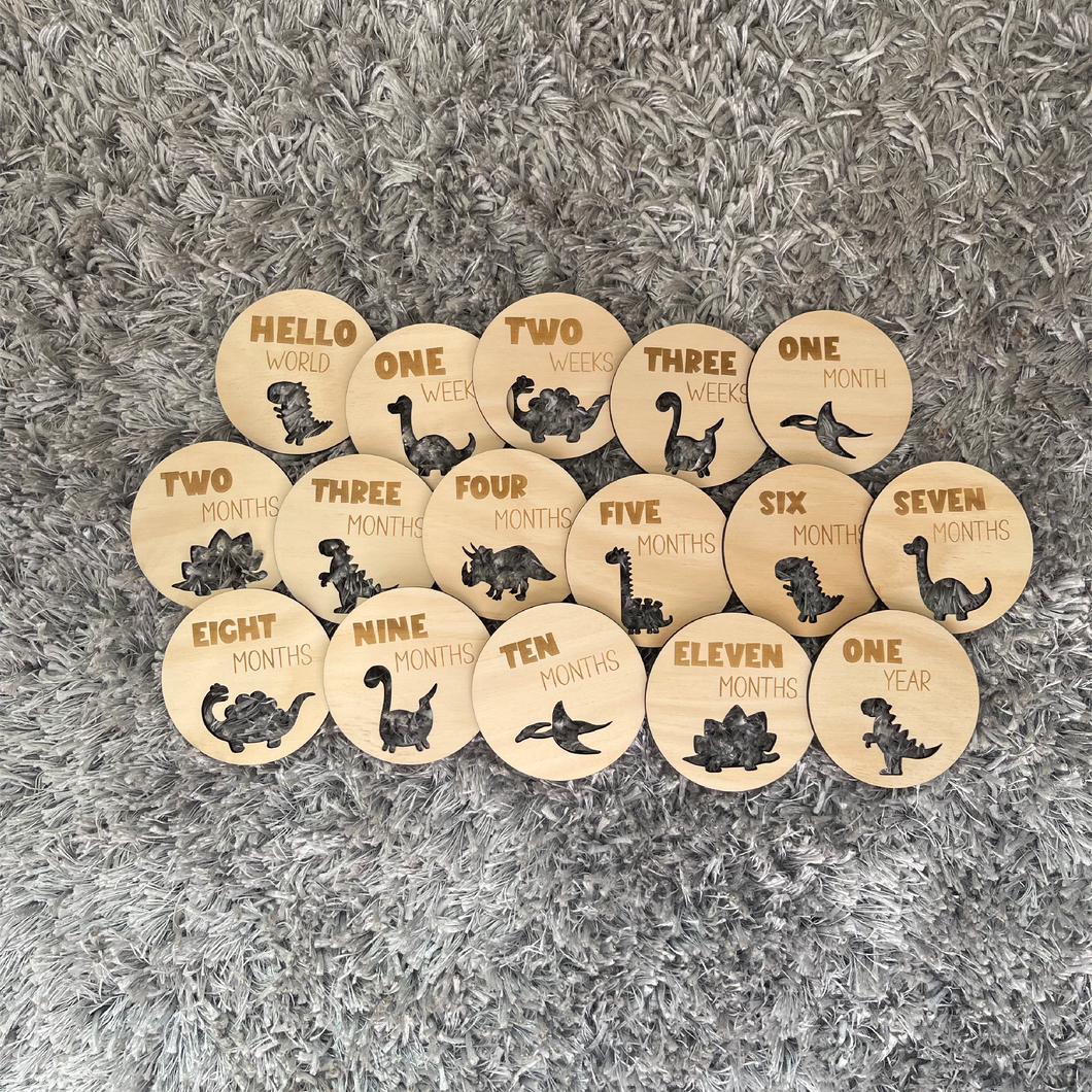 Dinosaur Baby Milestone Discs