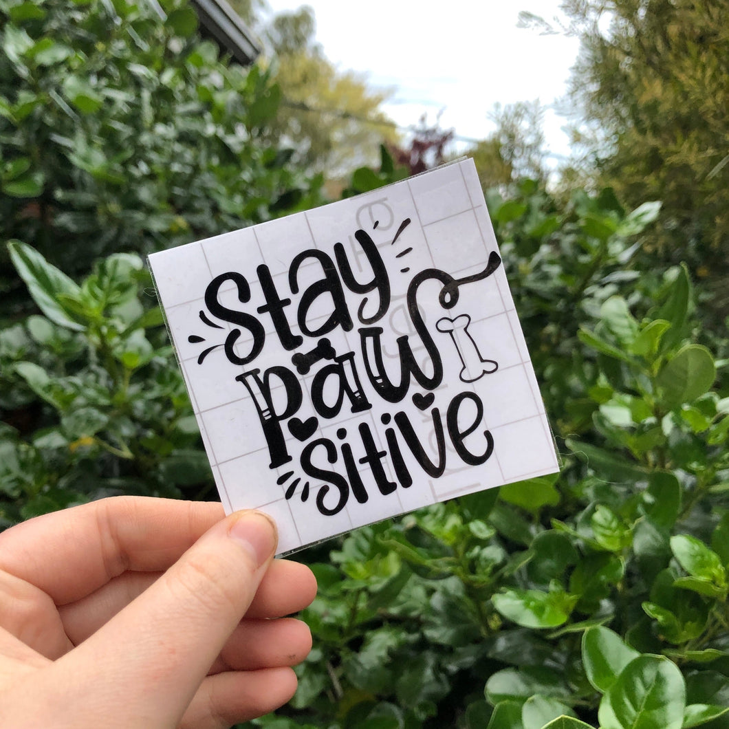 Stay Pawsitive Decal