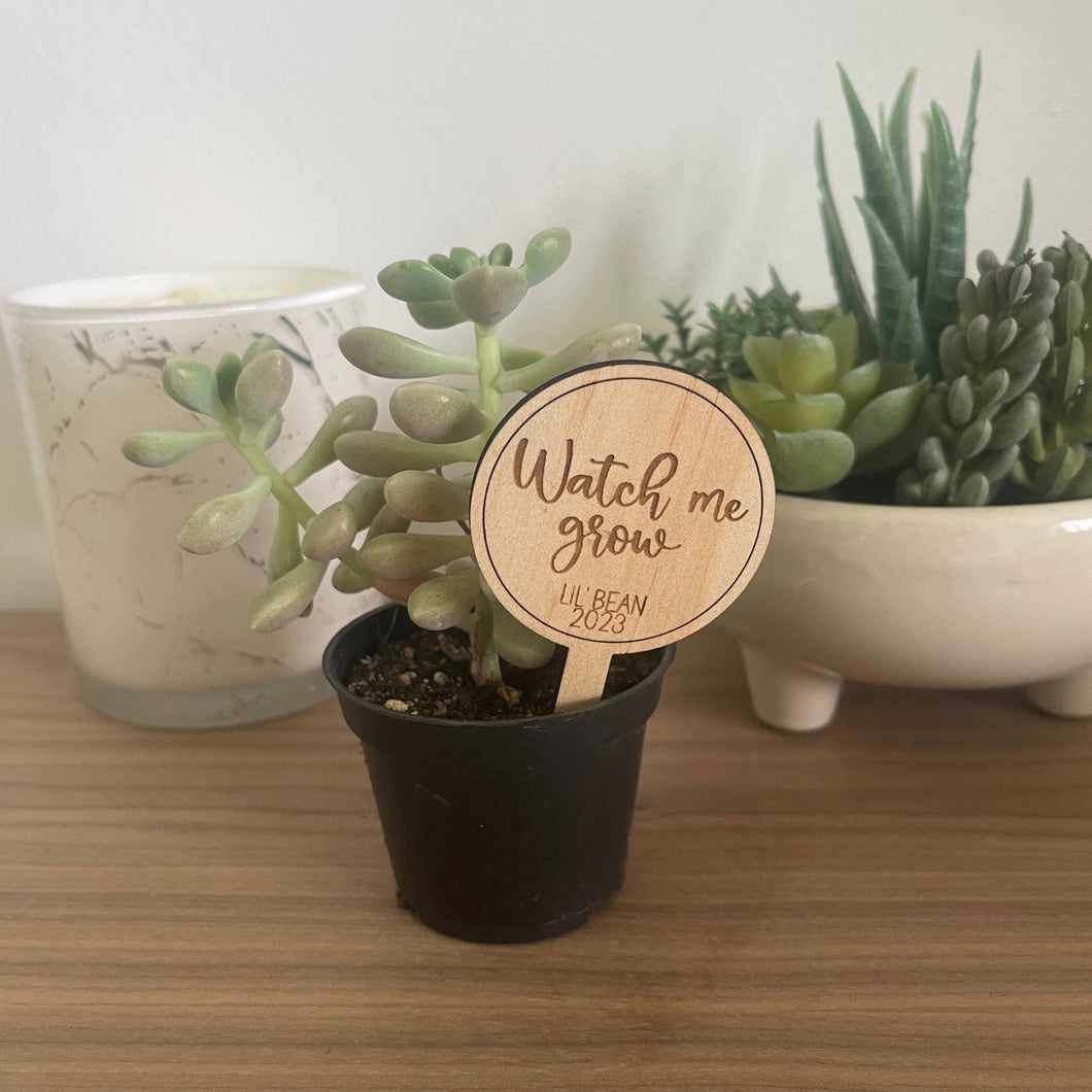 Custom Baby Shower 'Watch Me Grow' Plant Stakes